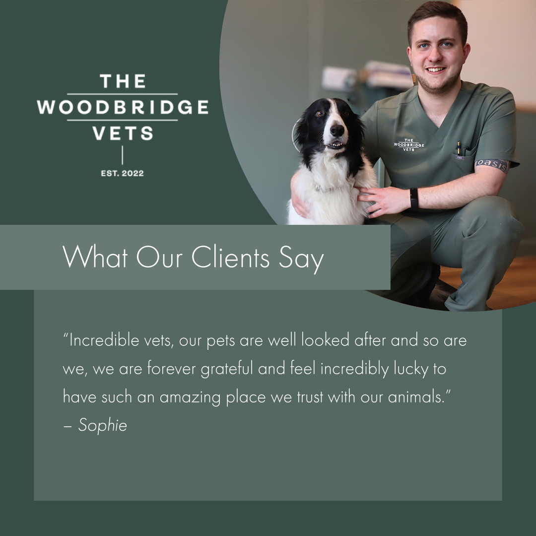 The Woodbridge Vets Facebook ad: Don’t just take our word for it…