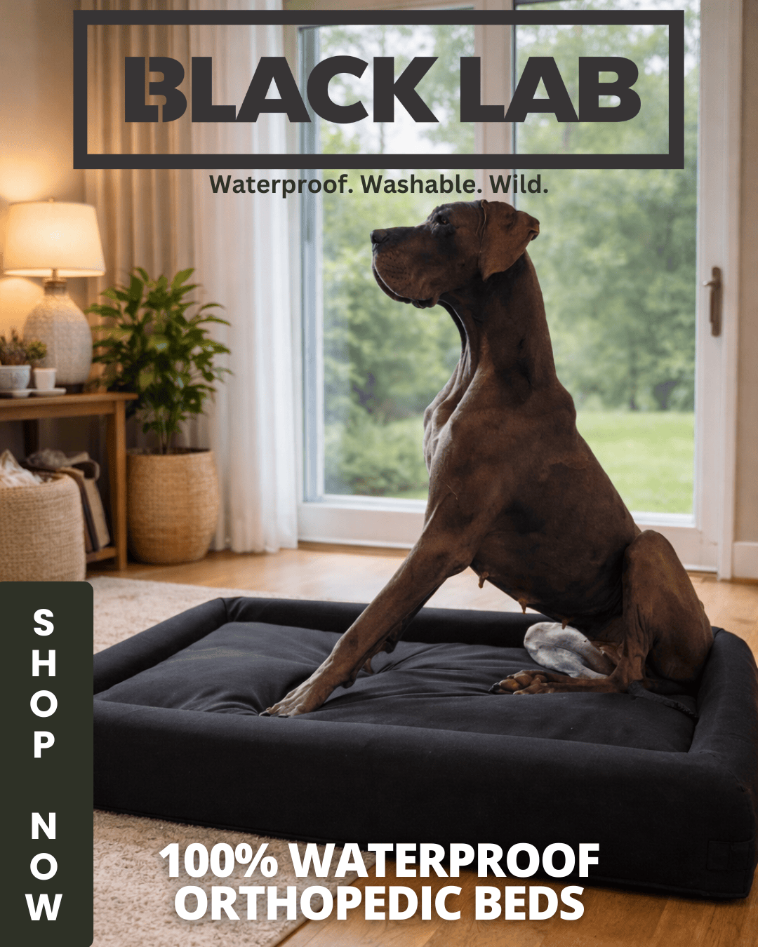 Black Lab Brands Facebook ad