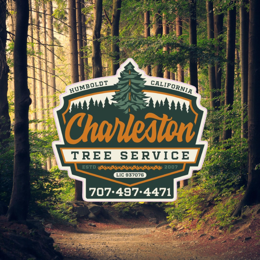 Charleston Tree Services Facebook ad: Charleston Tree Service is family owned and operated…