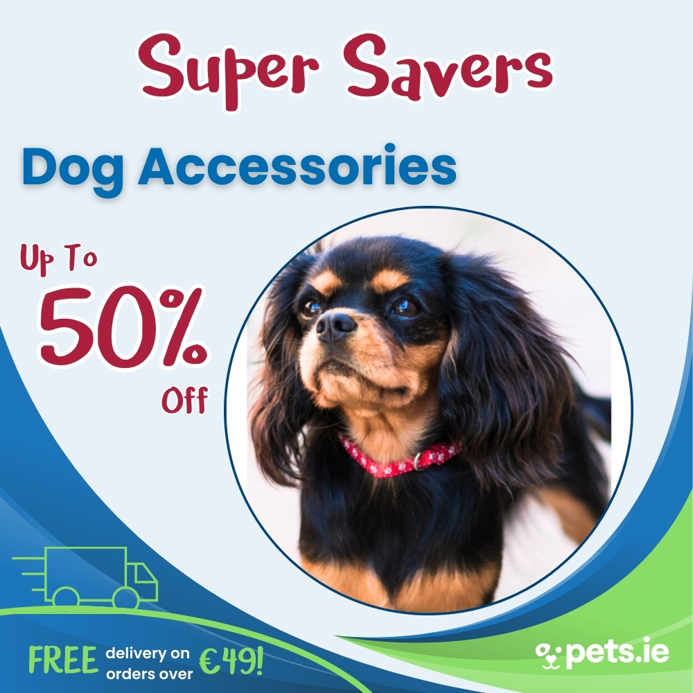 Pets.ie Facebook ad