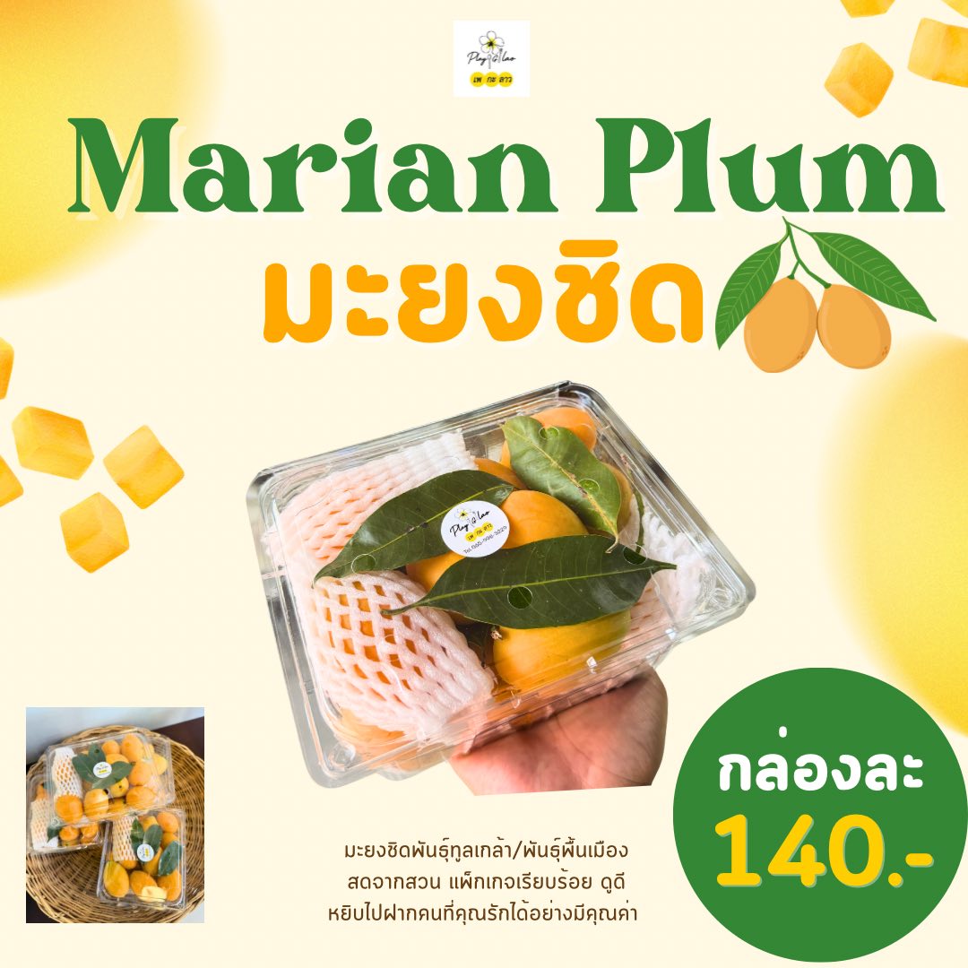 Playglao เพกะลาว ลำลูกกา คลอง4 Facebook ad: กล่องละ 140 บาท 2 กล่อง เพียง 260 บาท