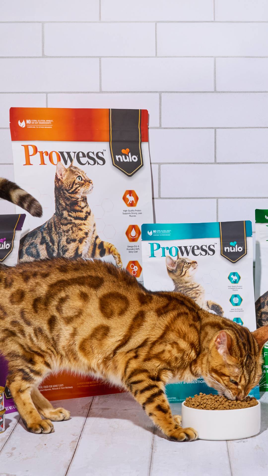 Petco Facebook ad