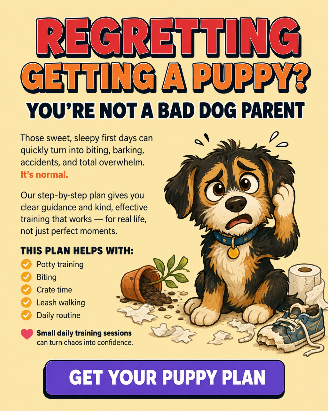 Ben Your Puppy Trainer Facebook ad