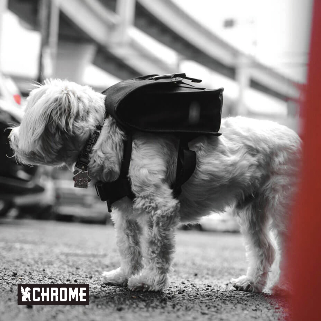 Chrome Industries Japan Facebook ad: 【DOG BAG】