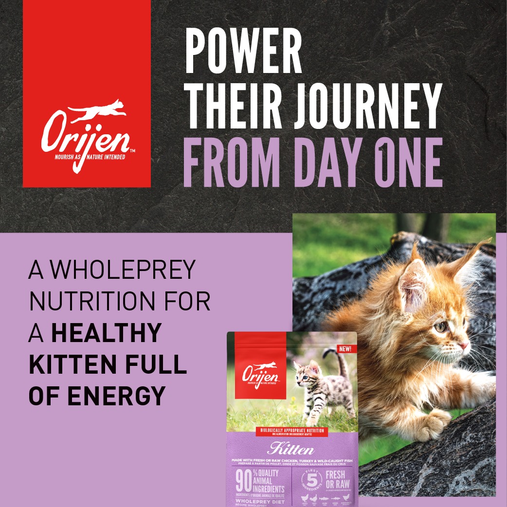 ORIJEN South Africa Facebook ad: ORIJEN - Packleader