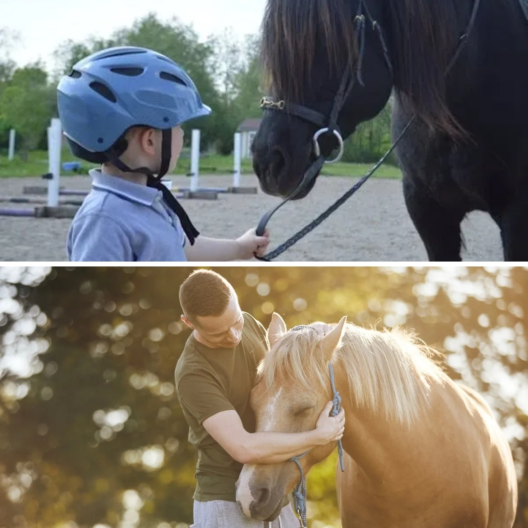 Deer Run Ranch Equine Connection Facebook ad: Experience Healing With Horses!