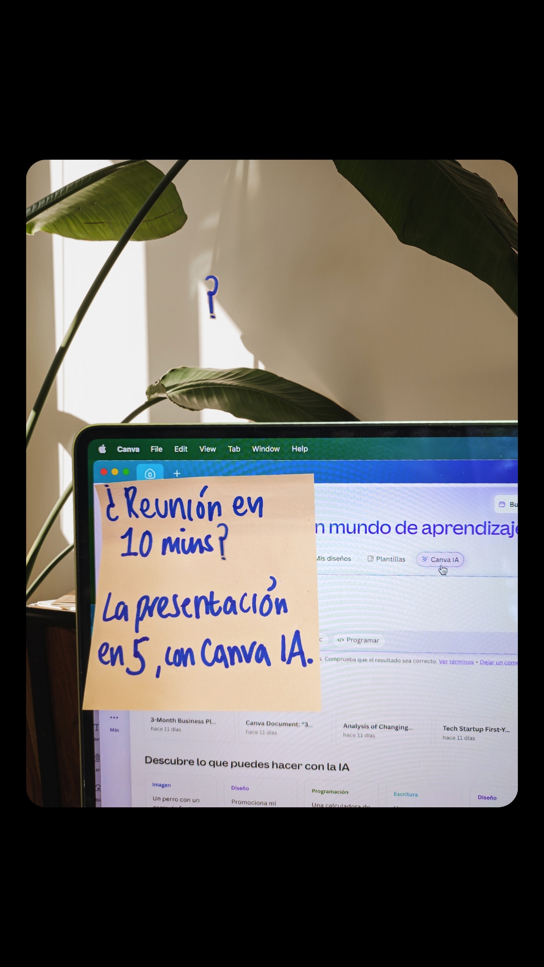 Canva Facebook ad