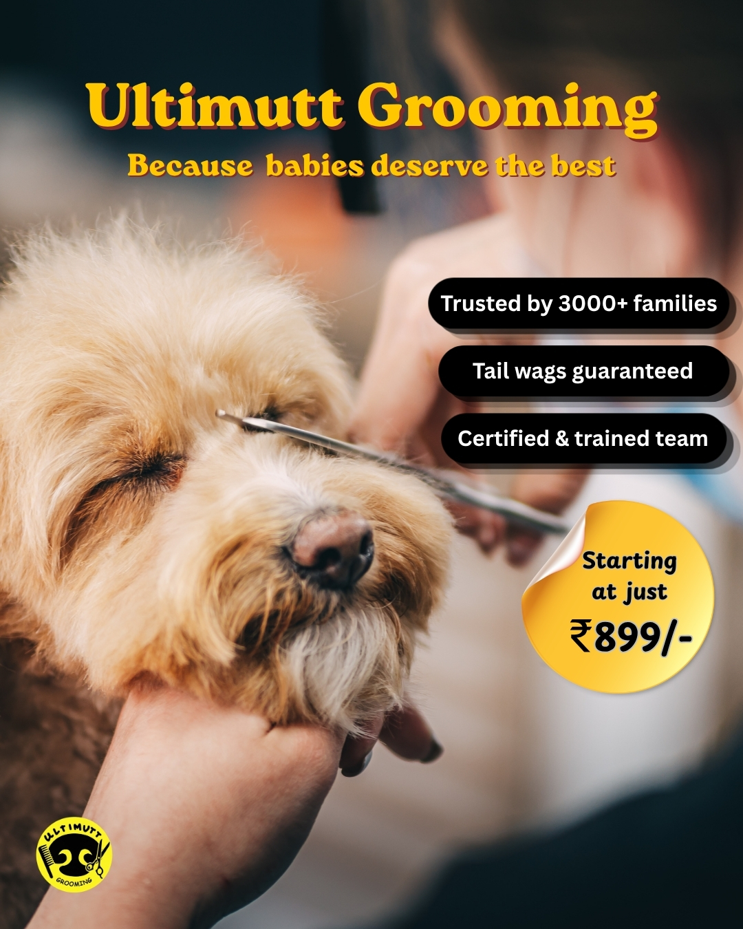 Ultimutt Pet services Facebook ad: Best rated home groomers for Dogs & Cats!