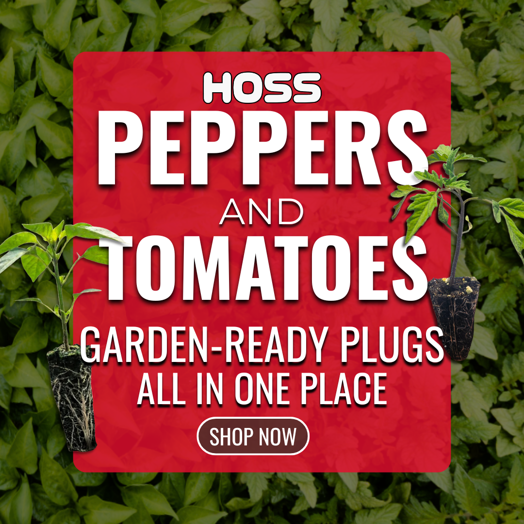 Hoss Facebook ad: Garden-Ready Plugs