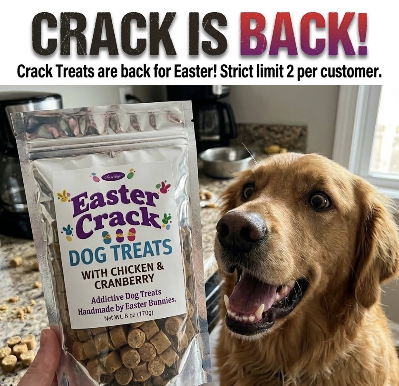 iHeartDogs Facebook ad
