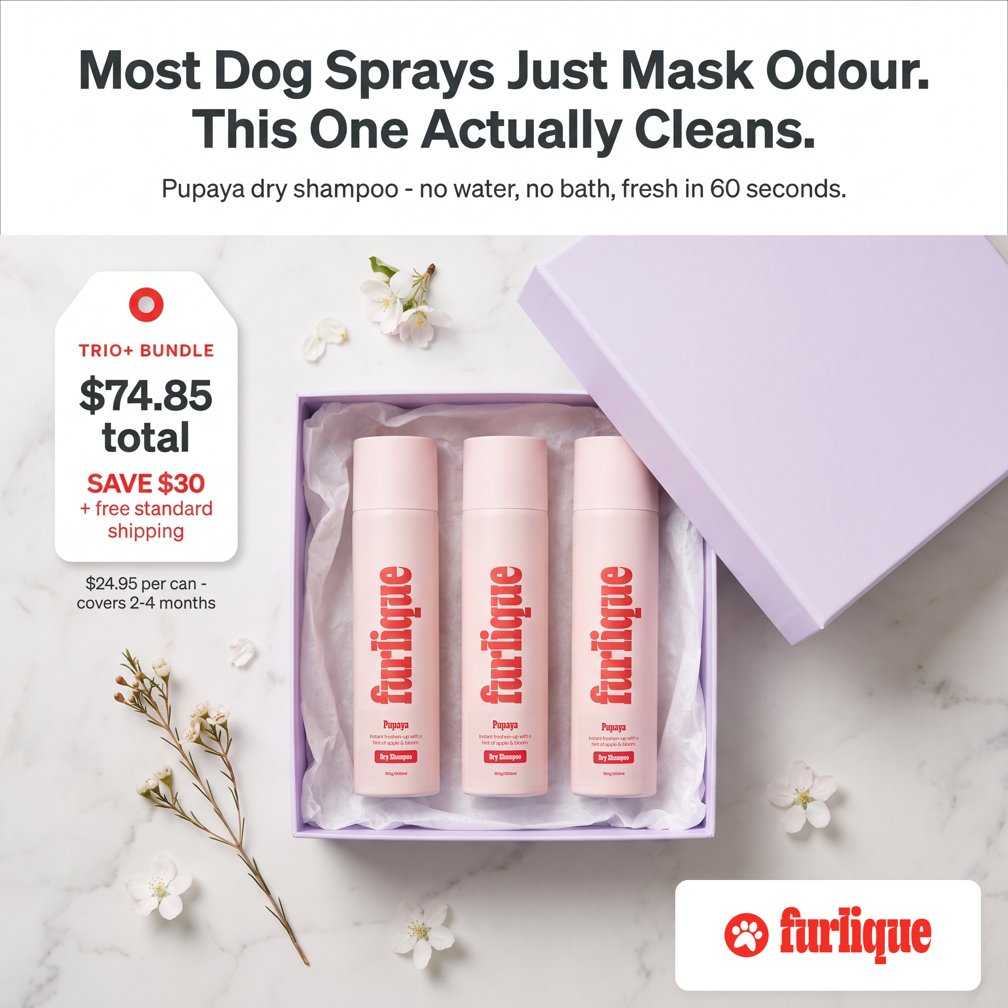 Furlique Facebook ad