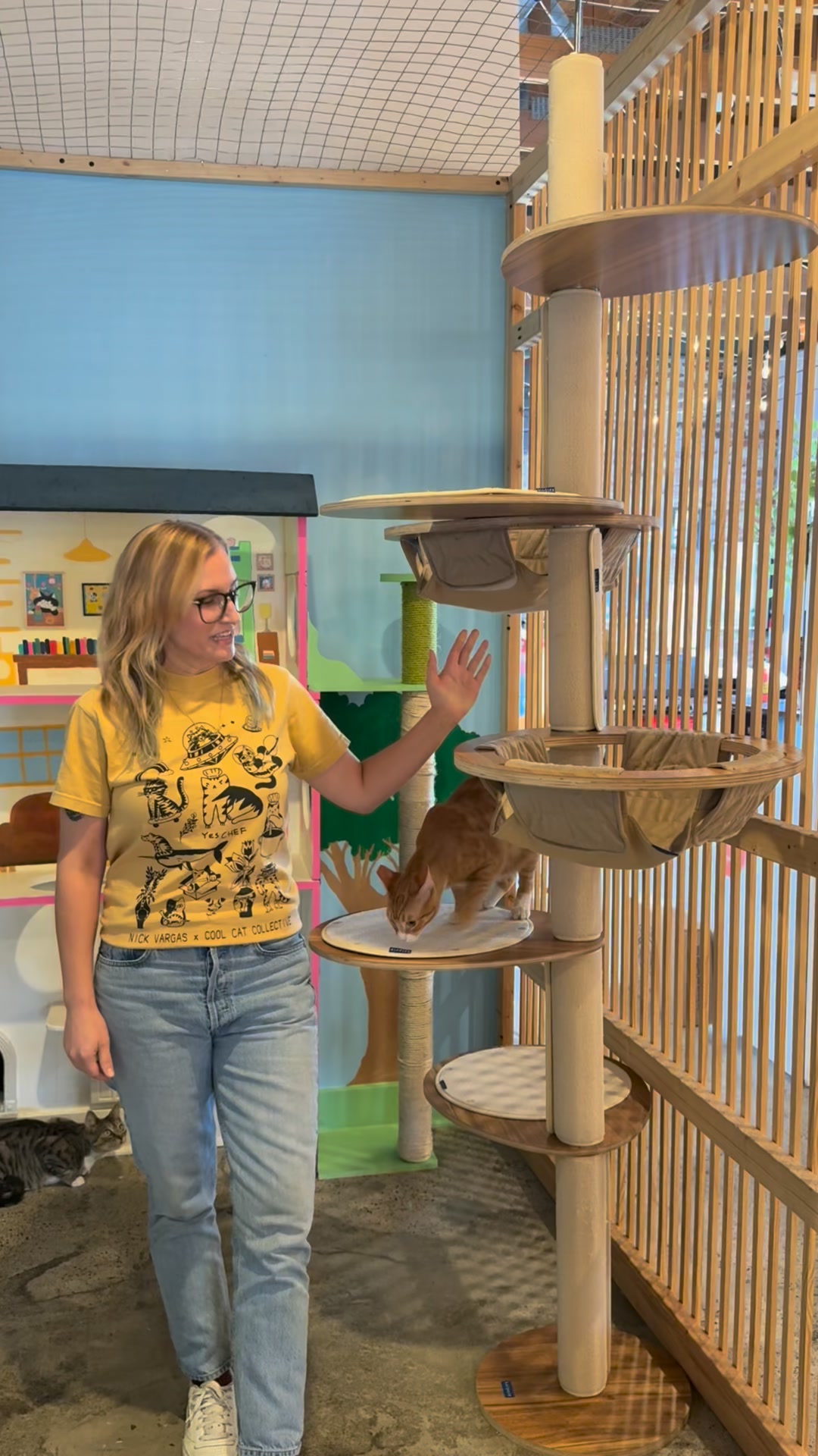 Katpole Cat Furniture Facebook ad: Thank you @katpole for donating this incredible cat…