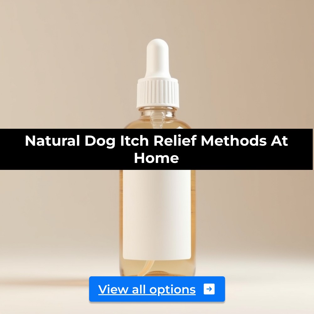 SearchArena Circuit Facebook ad: Uncover Gentle Ways To Ease Dog Itch.