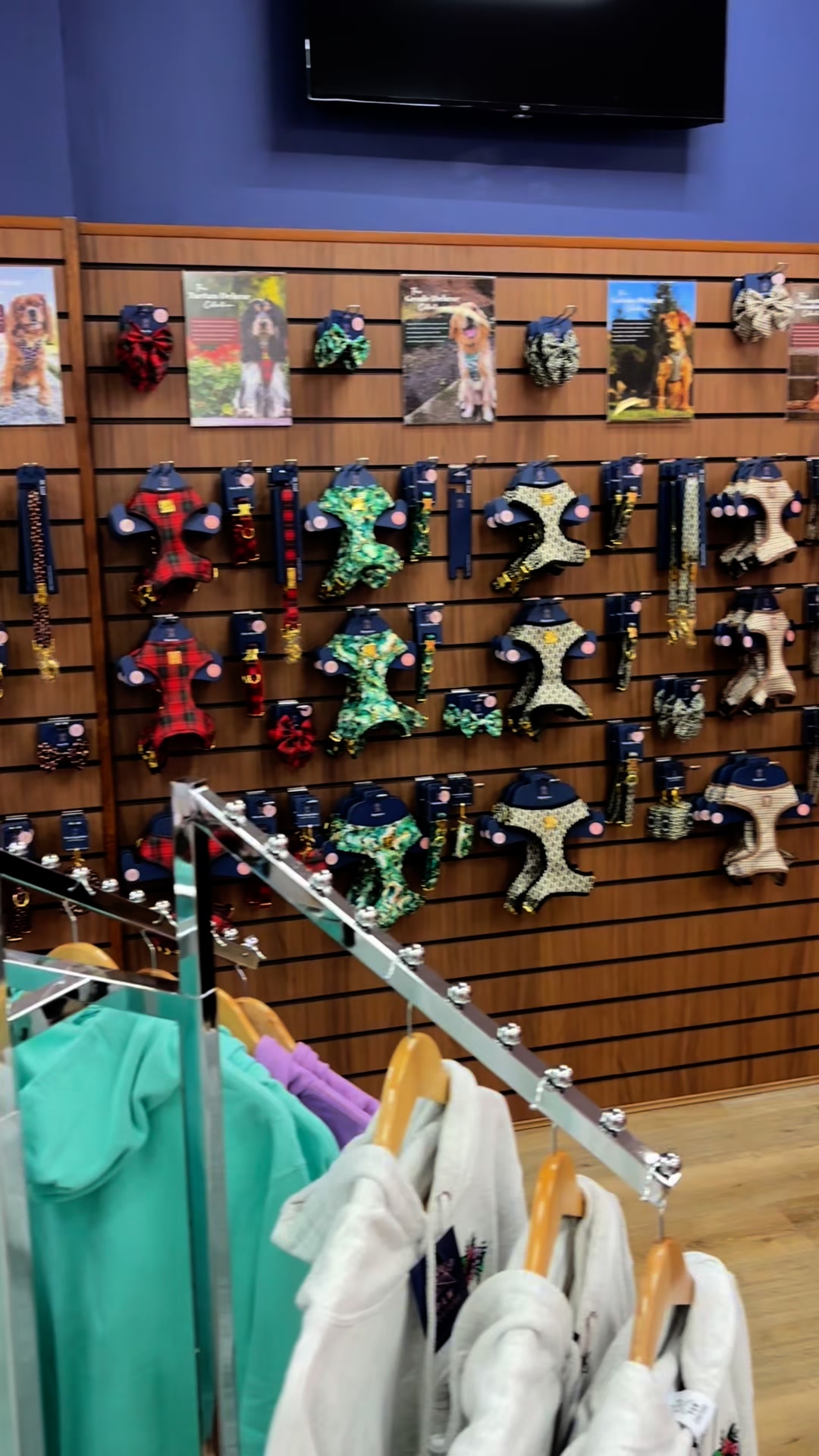 Paw Couture Facebook ad: Luxury Dog Accessories at Affordable Prices