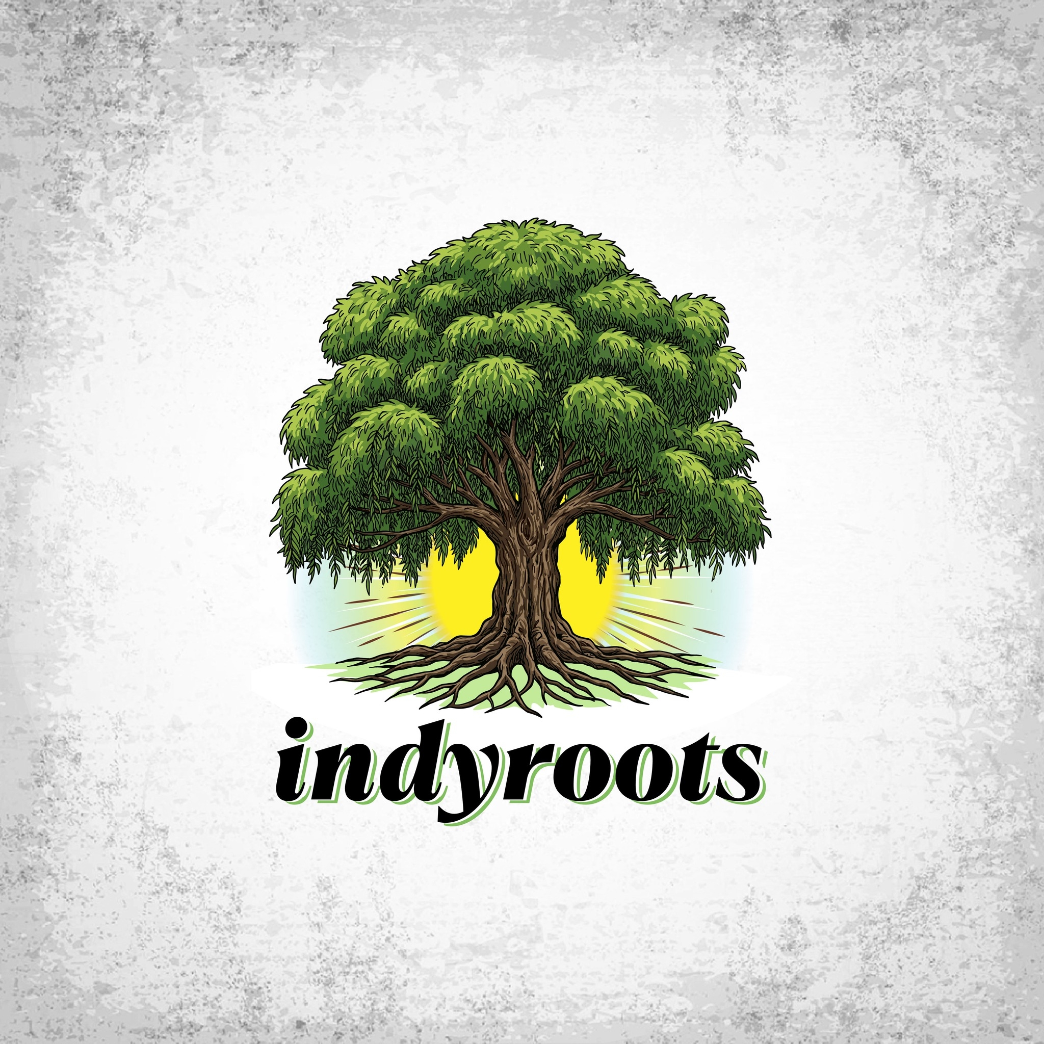 Indyroots Facebook ad: Indyroots is a massage and Cranial Sacral therapy…