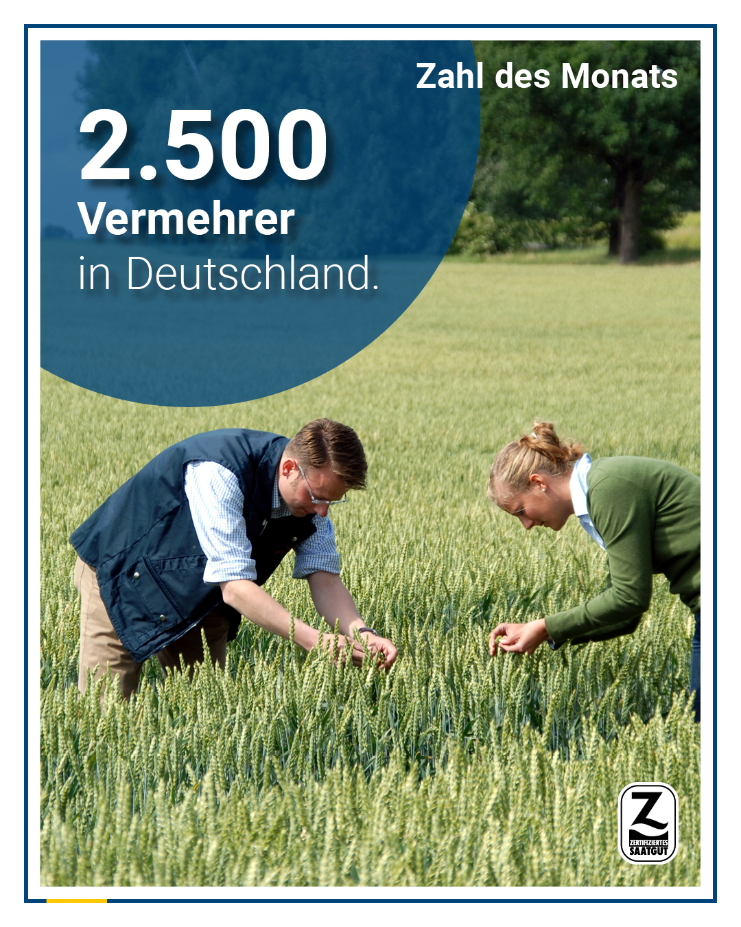 Z-Saatgut Facebook ad