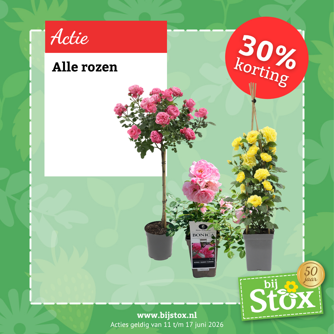 Tuincentrum BijStox Facebook ad