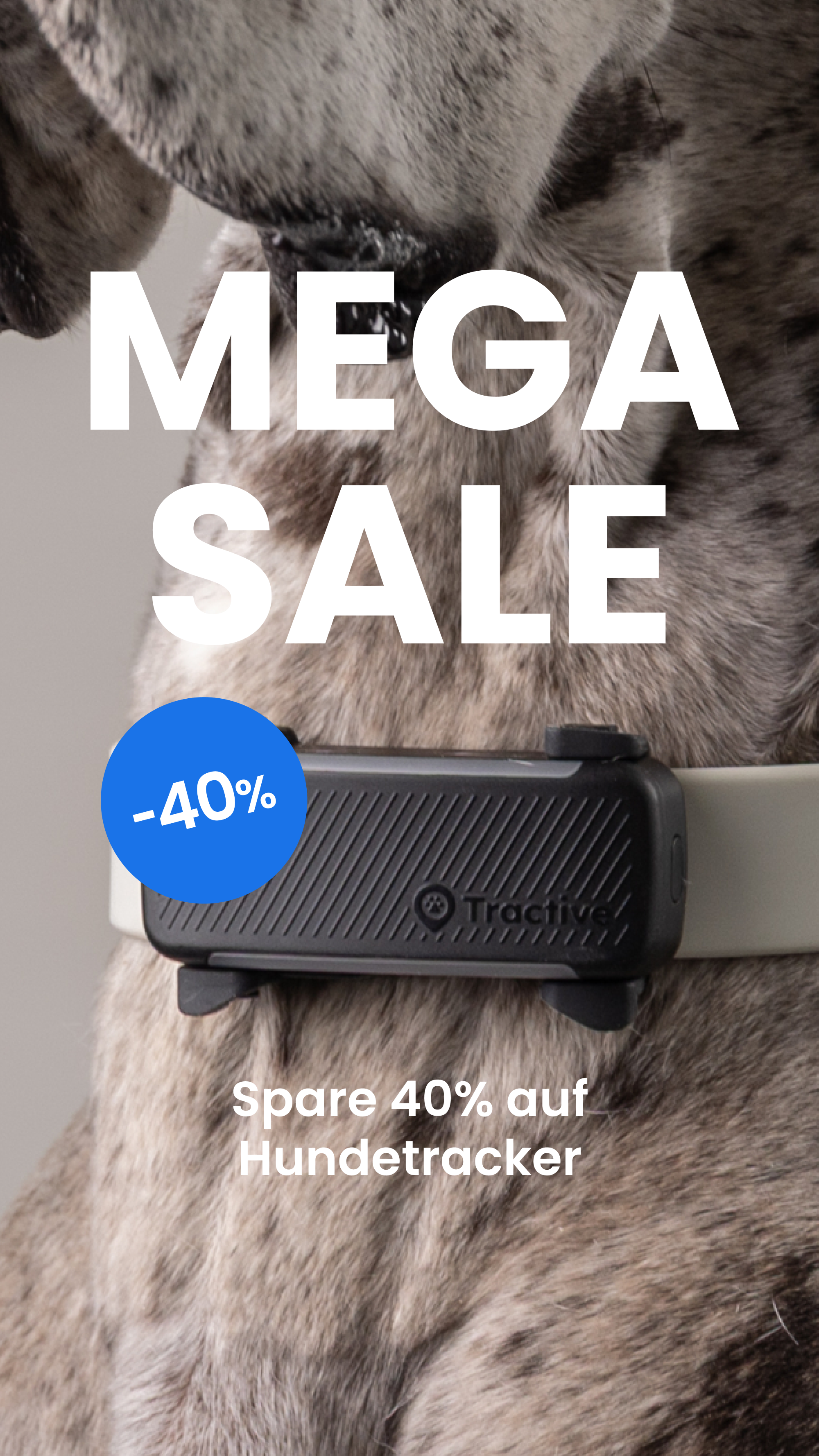 Tractive Facebook ad