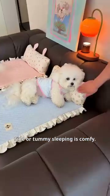 Ktty.fashier Facebook ad: Summer Bestseller! Pet Cooling Mat + Pillow, Over…