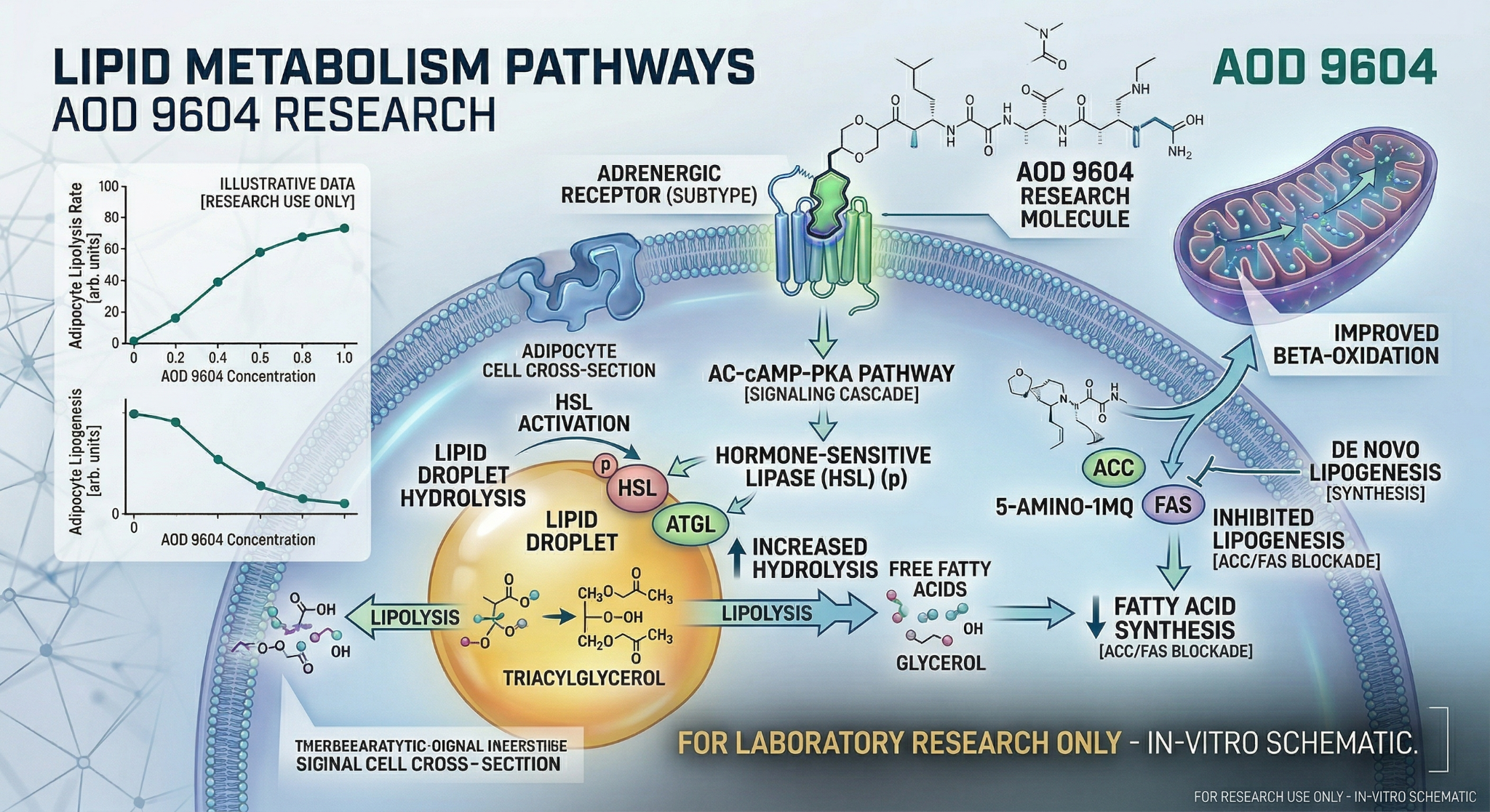 BIO Peptide Technologies Facebook ad: Innovation and Research