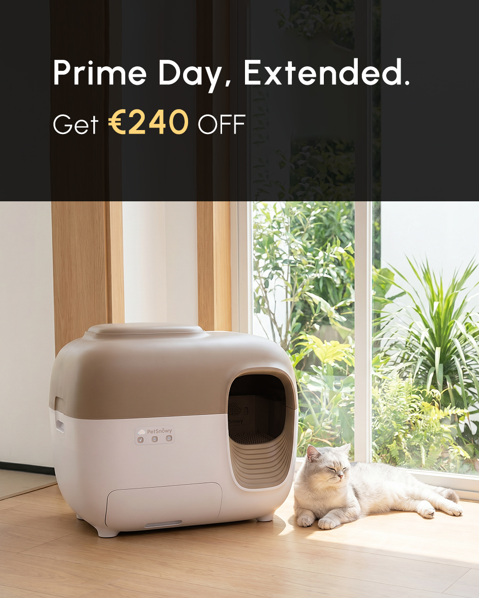PetSnowy Facebook ad