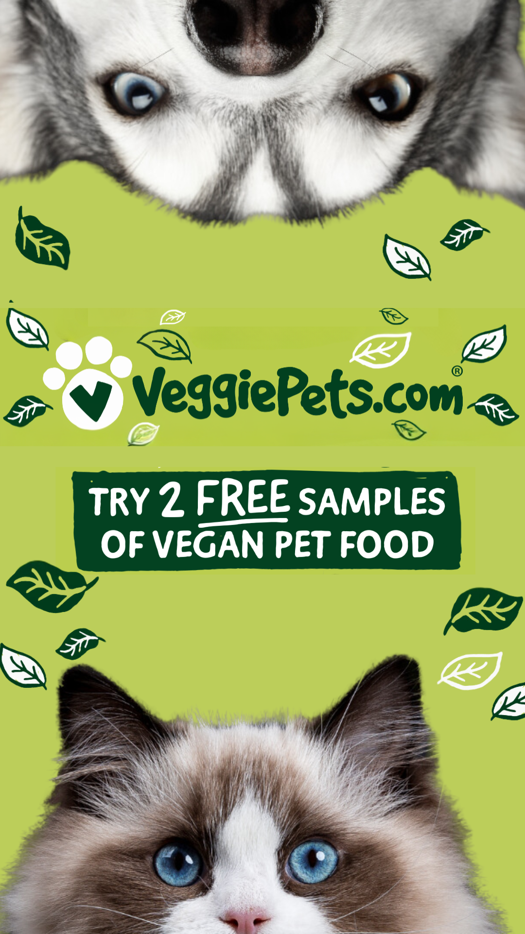 VeggiePets.com Facebook ad from Aug 13, 2025
