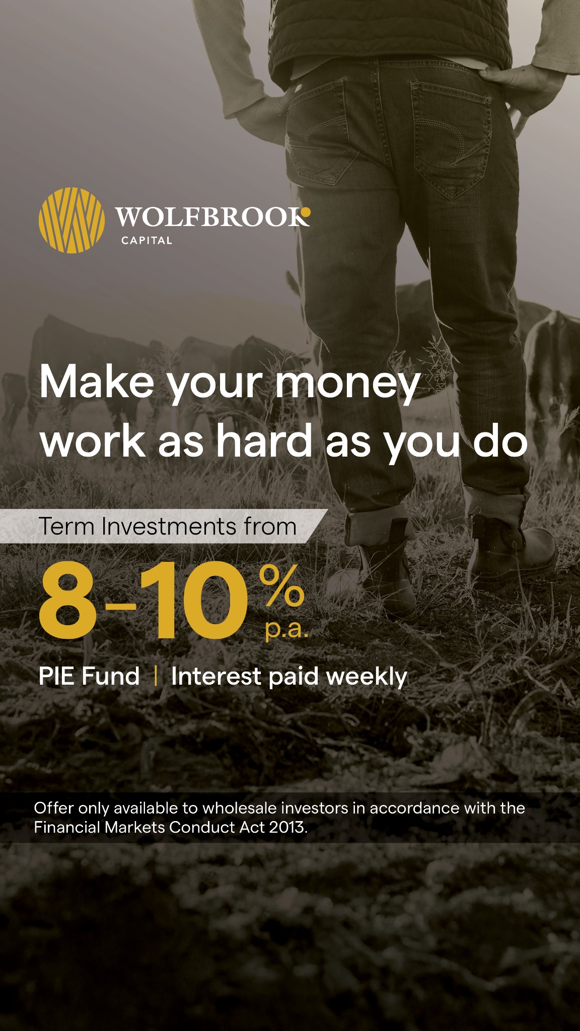 Wolfbrook Capital Facebook ad
