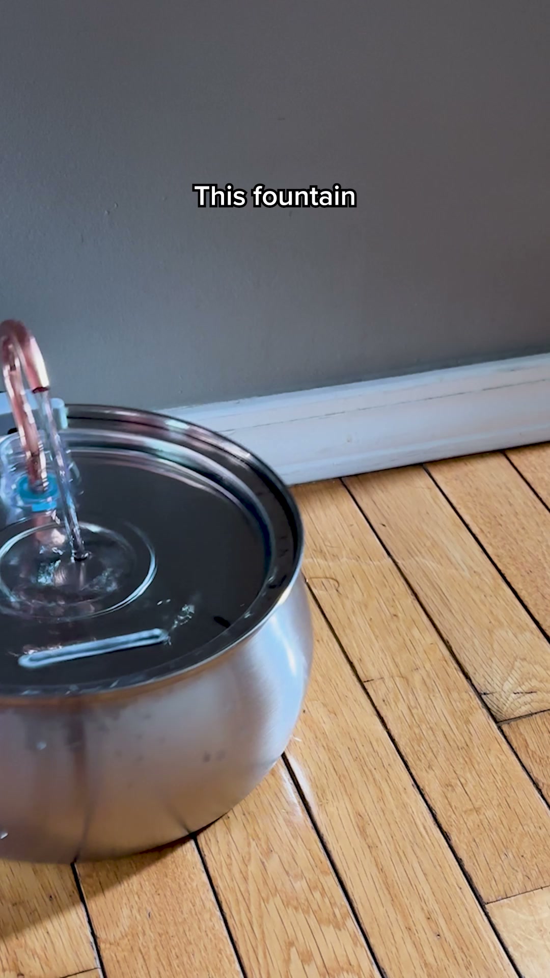 Catherine Wright Facebook ad: The #1 Vet-Recommended Cat Fountain