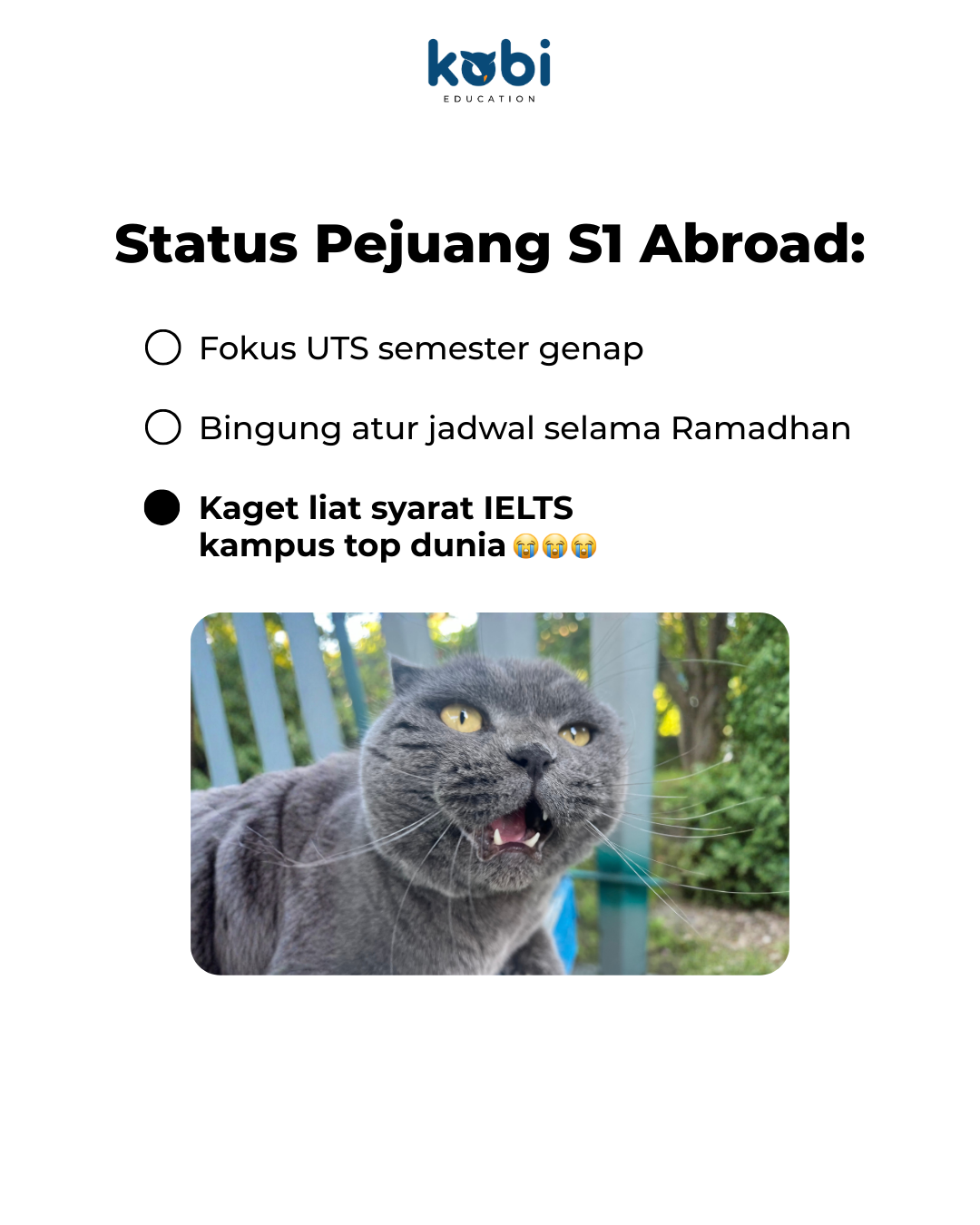 Kobi Education Id Facebook ad