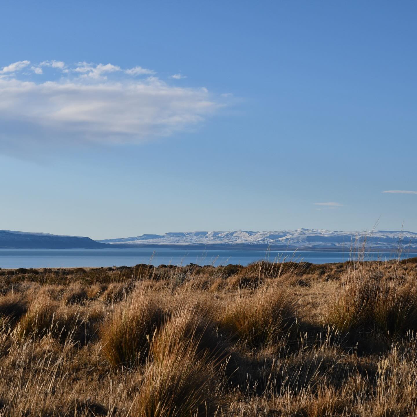 Campo De Invierno en El Calafate Facebook ad from Dec 30, 2025