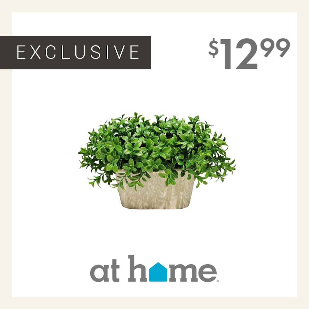At Home Facebook ad