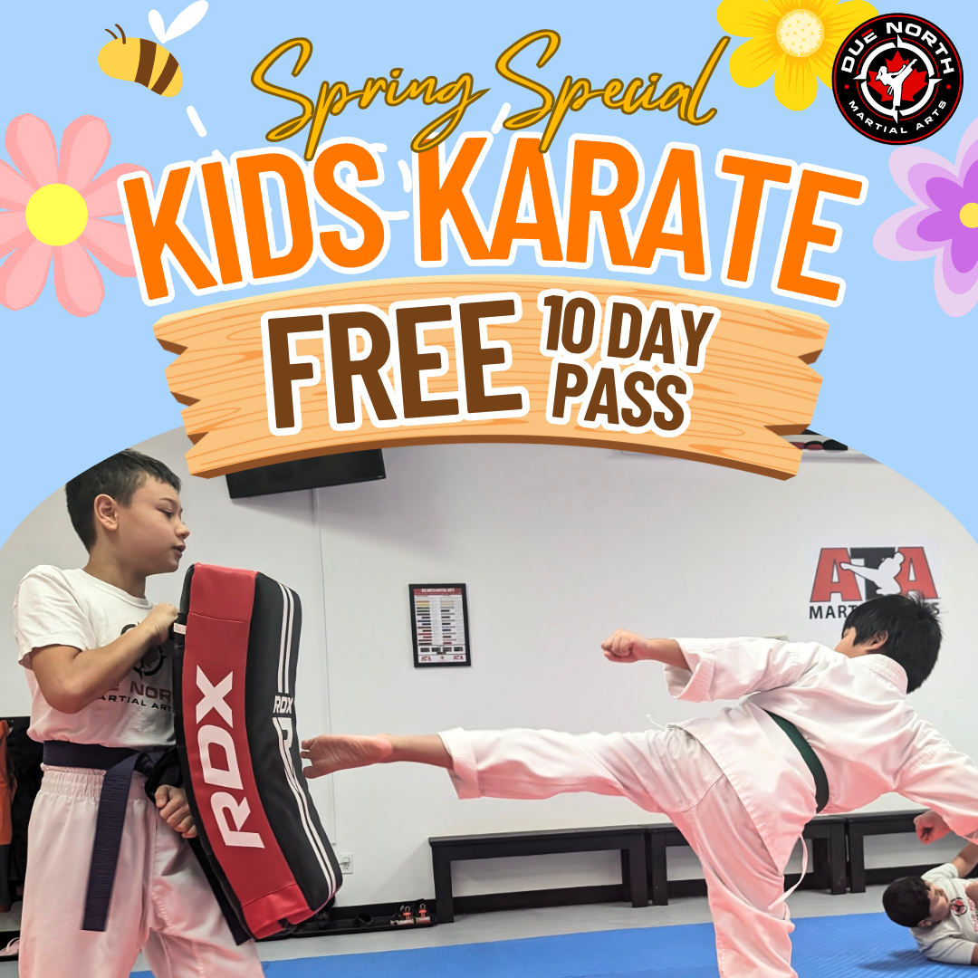 Due North Martial Arts Facebook ad: Spring Into Confidence, FREE 10-Day Pass!