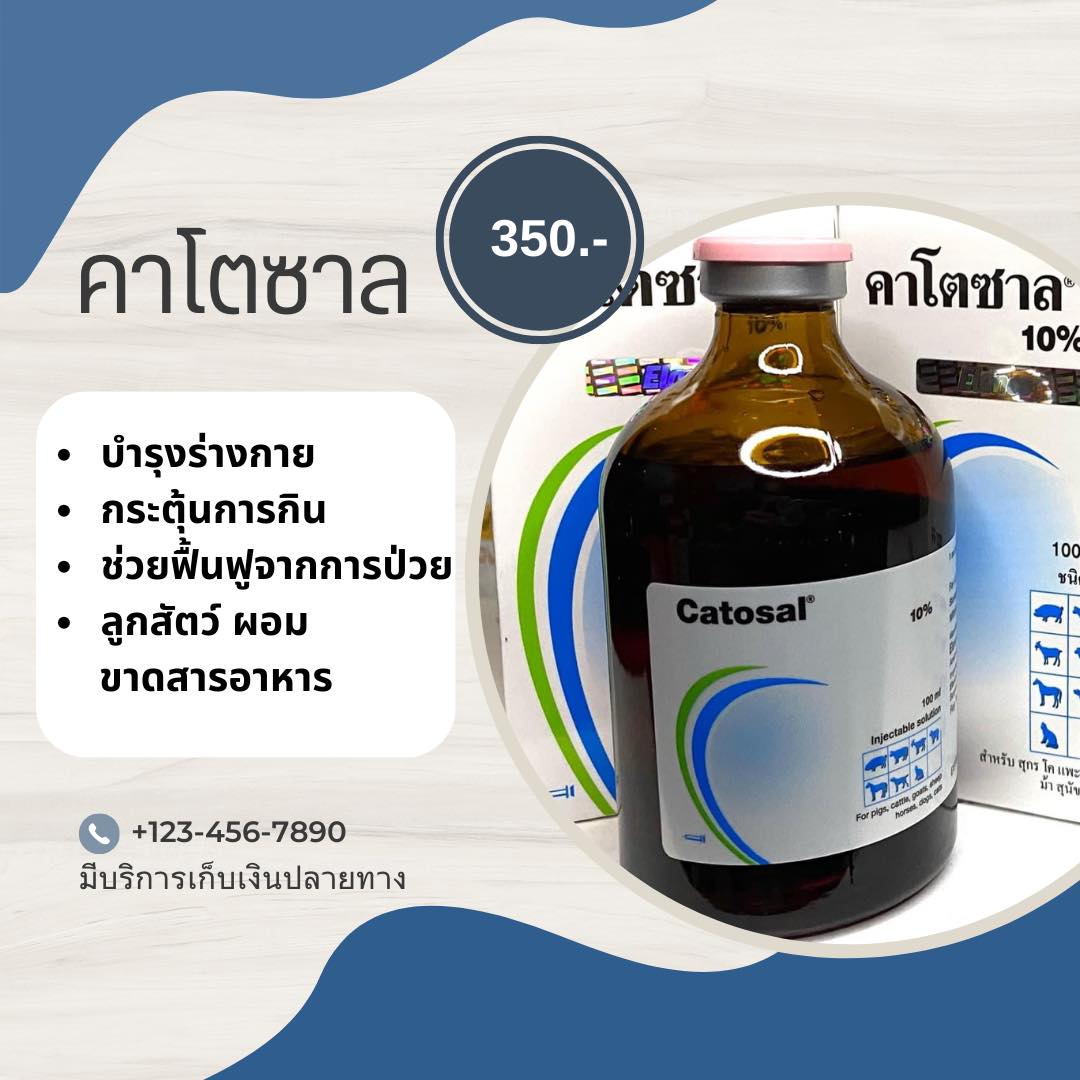 ยาสัตว์ อุปกรณ์สำหรับสัตว์เลี้ยง Facebook ad