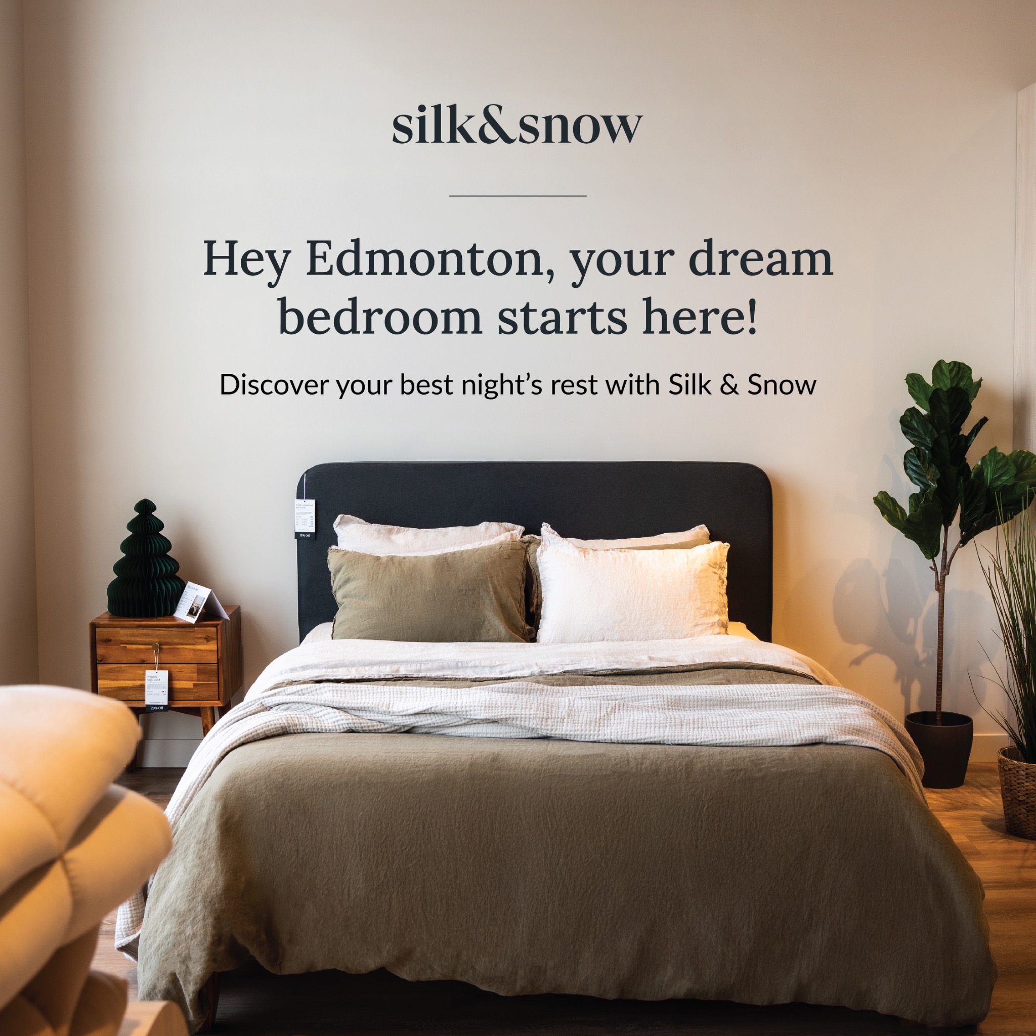 Silk and Snow Facebook ad