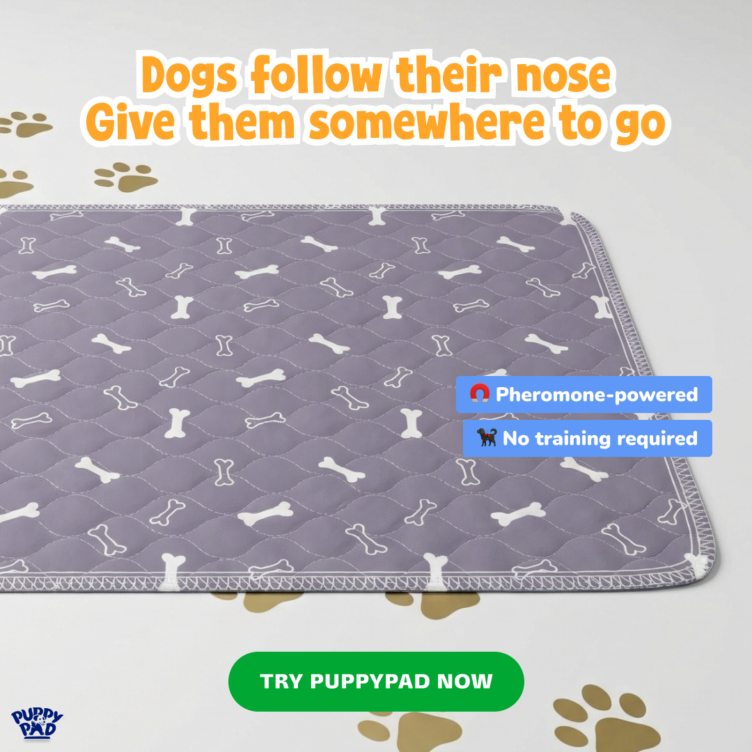 PuppyPad Facebook ad