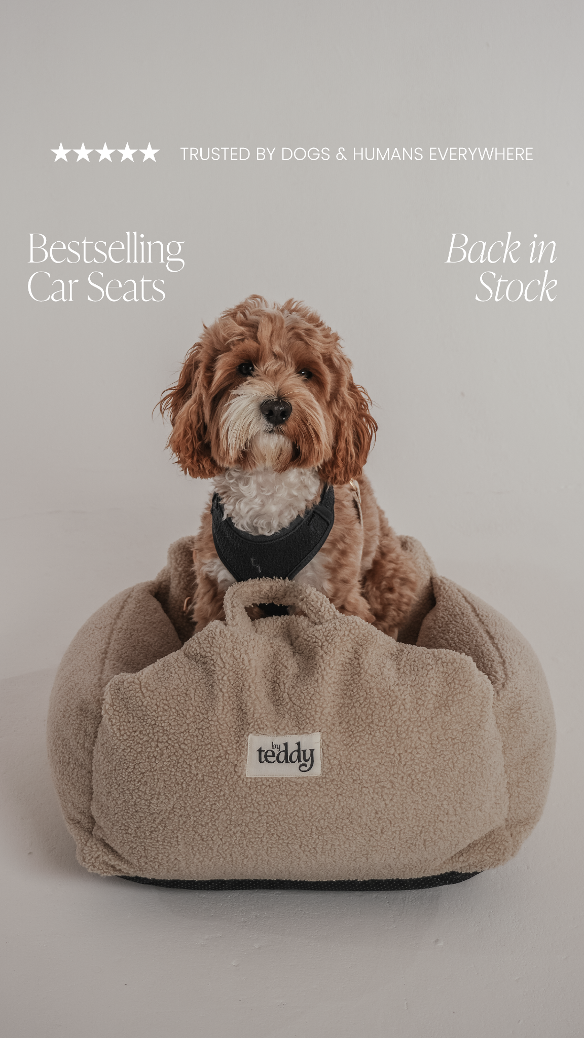 By Teddy Facebook ad