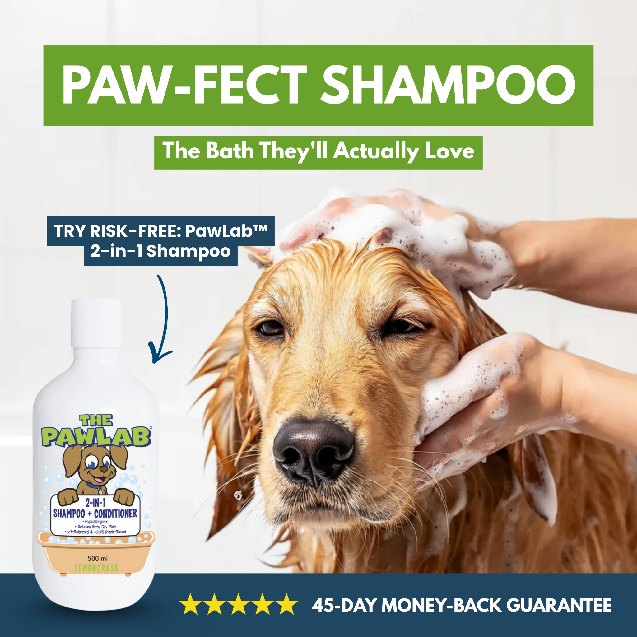 Pawlab Facebook ad