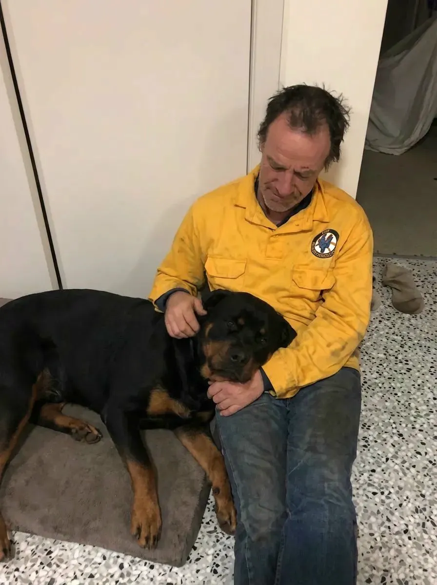 Canine Stress Research Institute Facebook ad