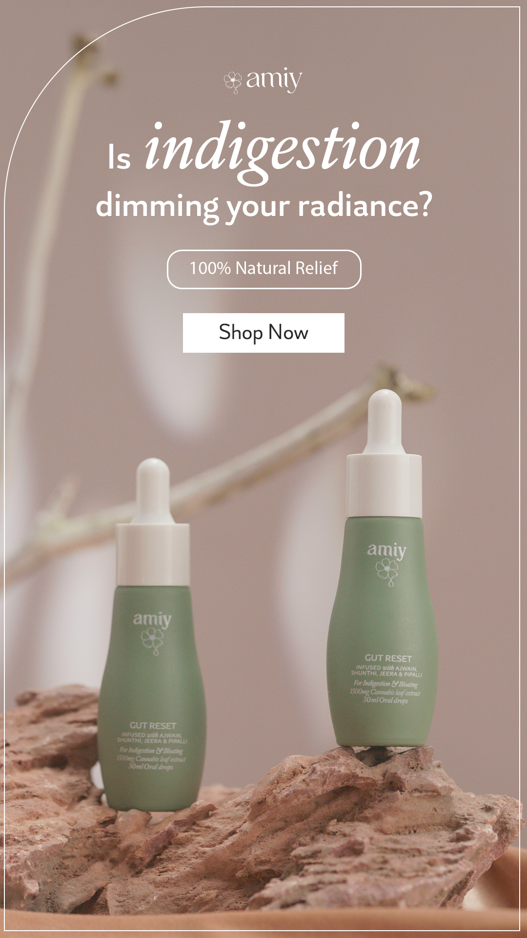 Amiy Naturals Facebook ad