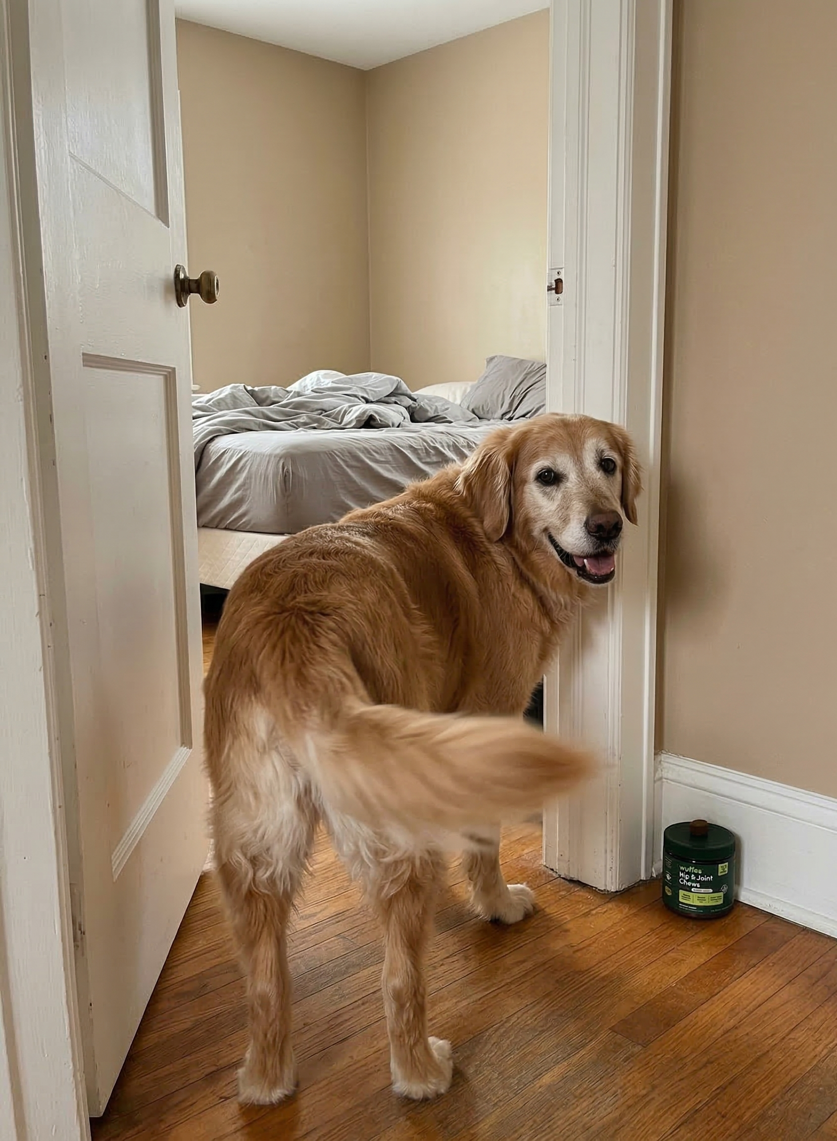 Everyday Pet Health Facebook ad