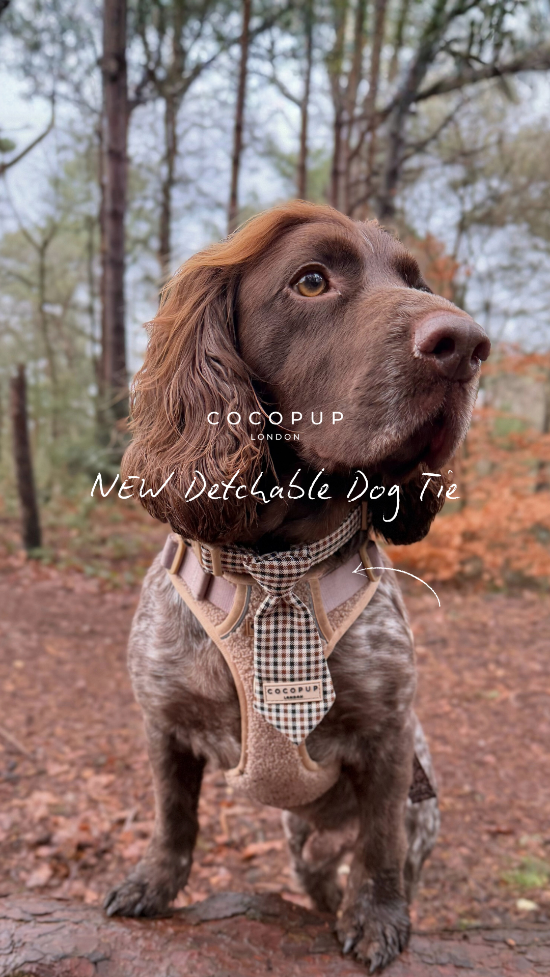 Cocopupuk Facebook ad