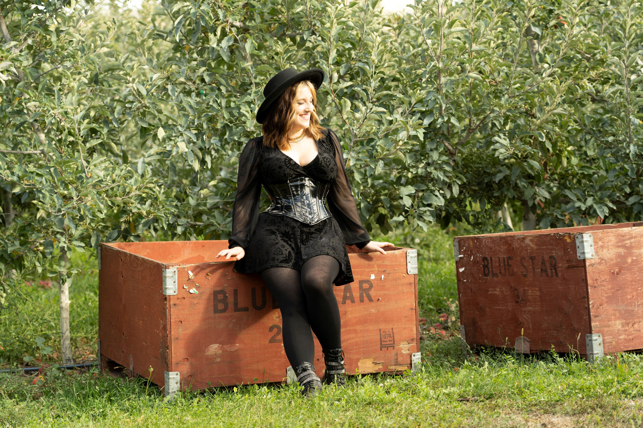 Orchard Corset Facebook ad