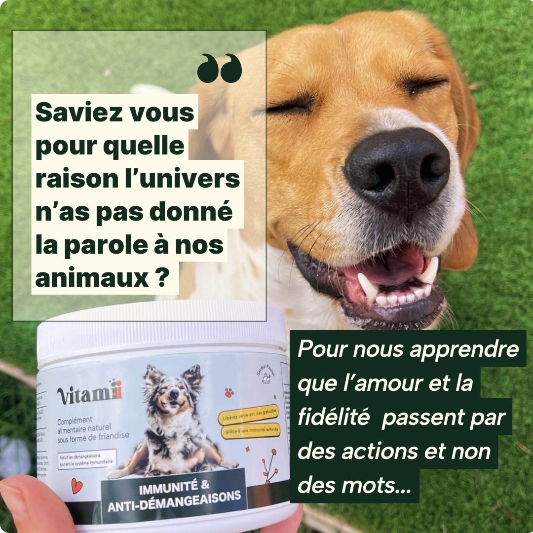 Vitamii Facebook ad