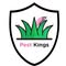 Pest Kings