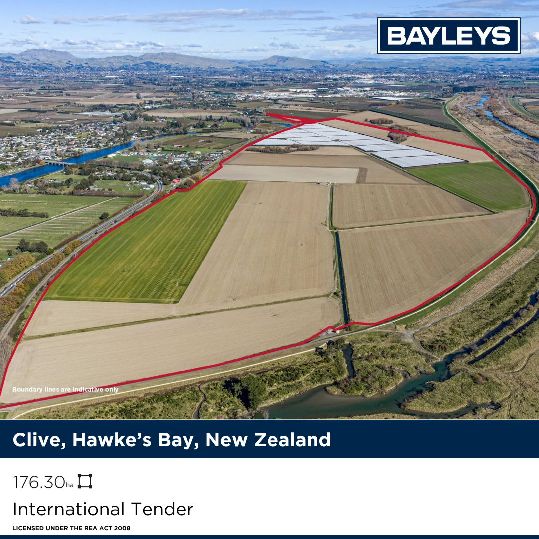 Bayleys Real Estate Facebook ad