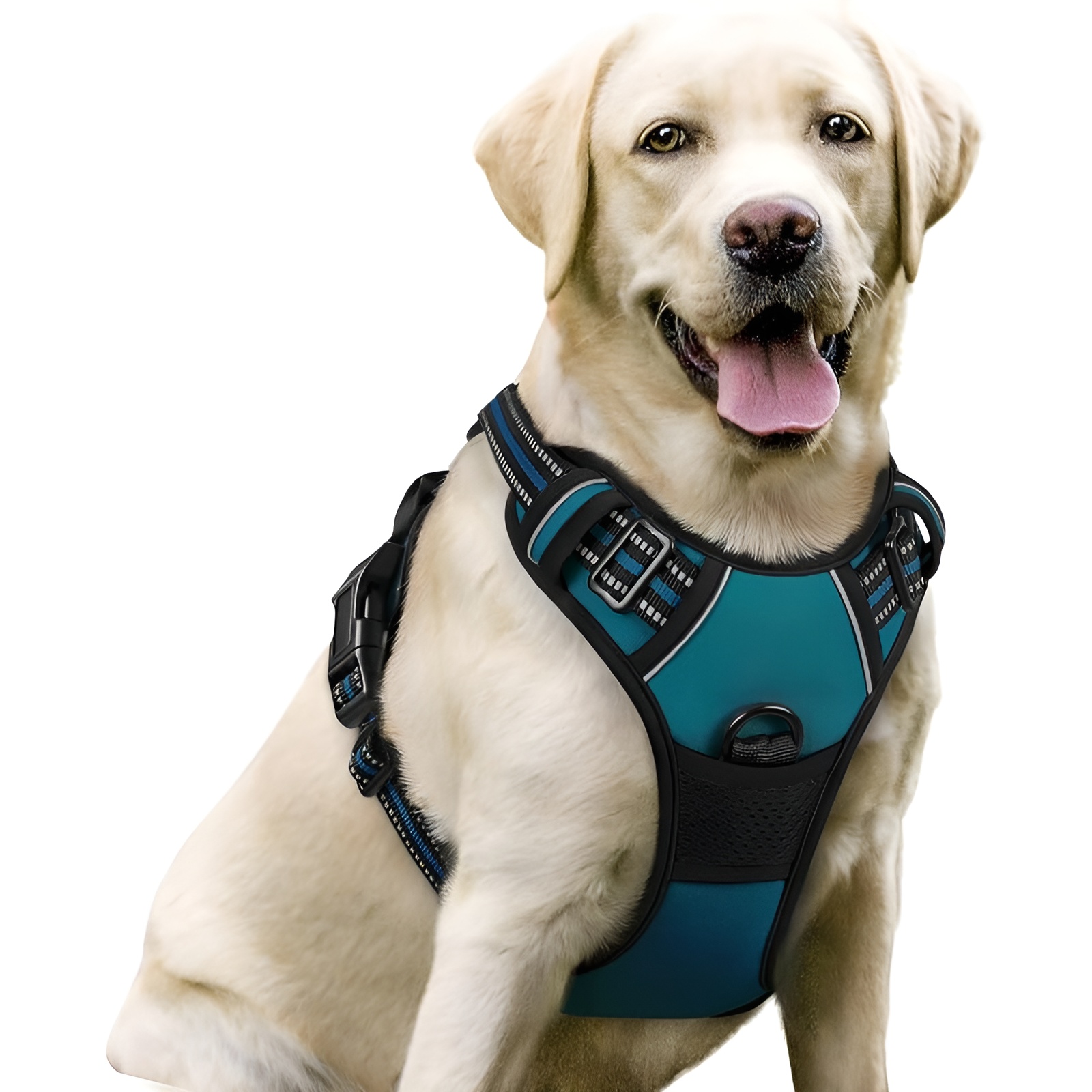 PuprUs Facebook ad