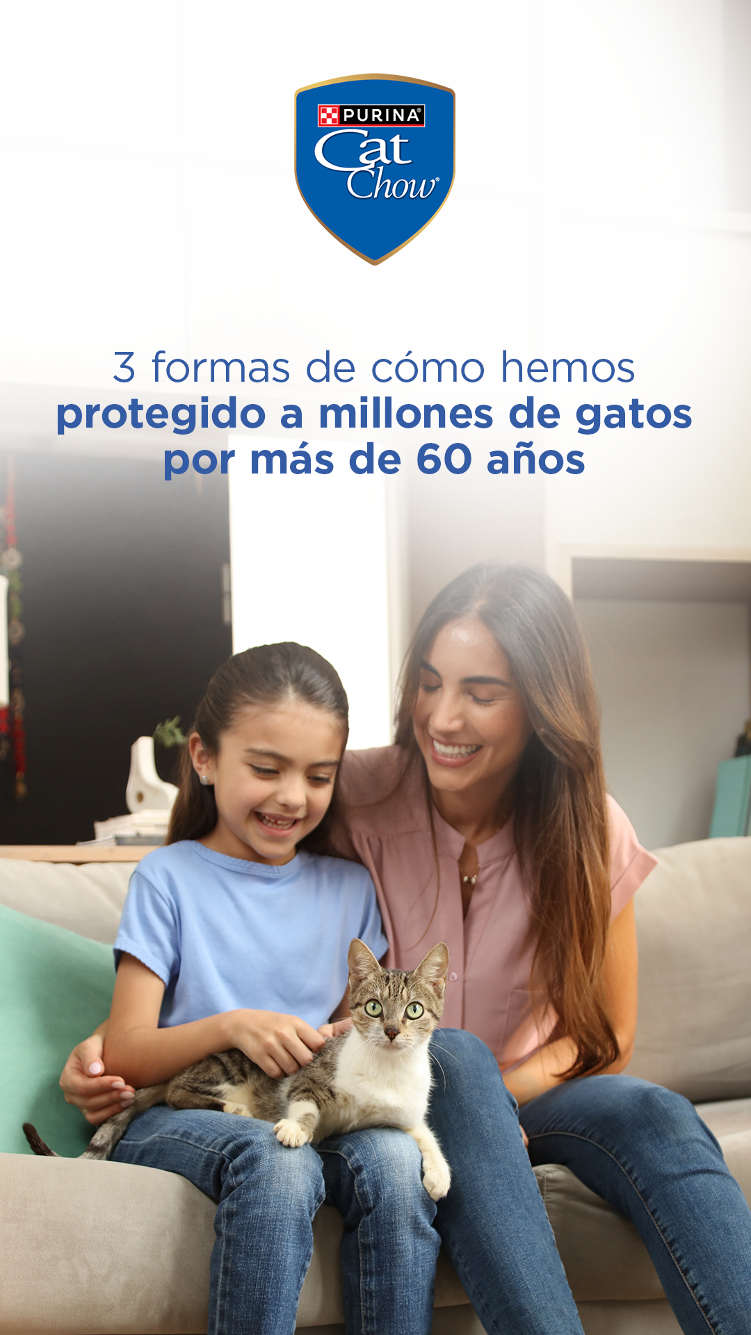 Purina Cat Chow Facebook ad from Jun 4, 2026