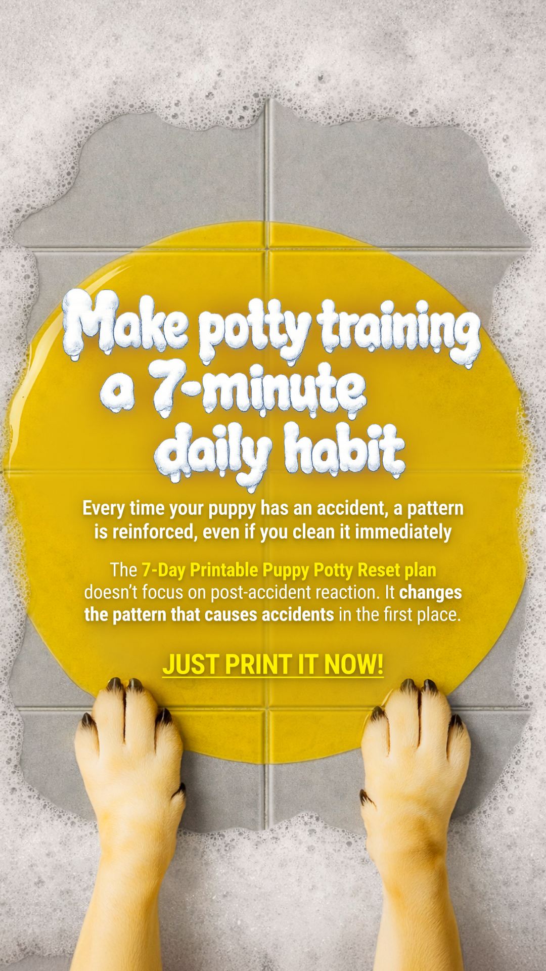 Woofz - Puppy Training Facebook ad