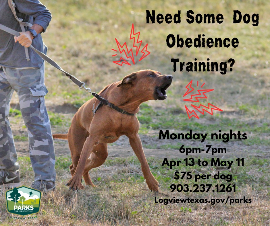 Longview Parks and Recreation Facebook ad