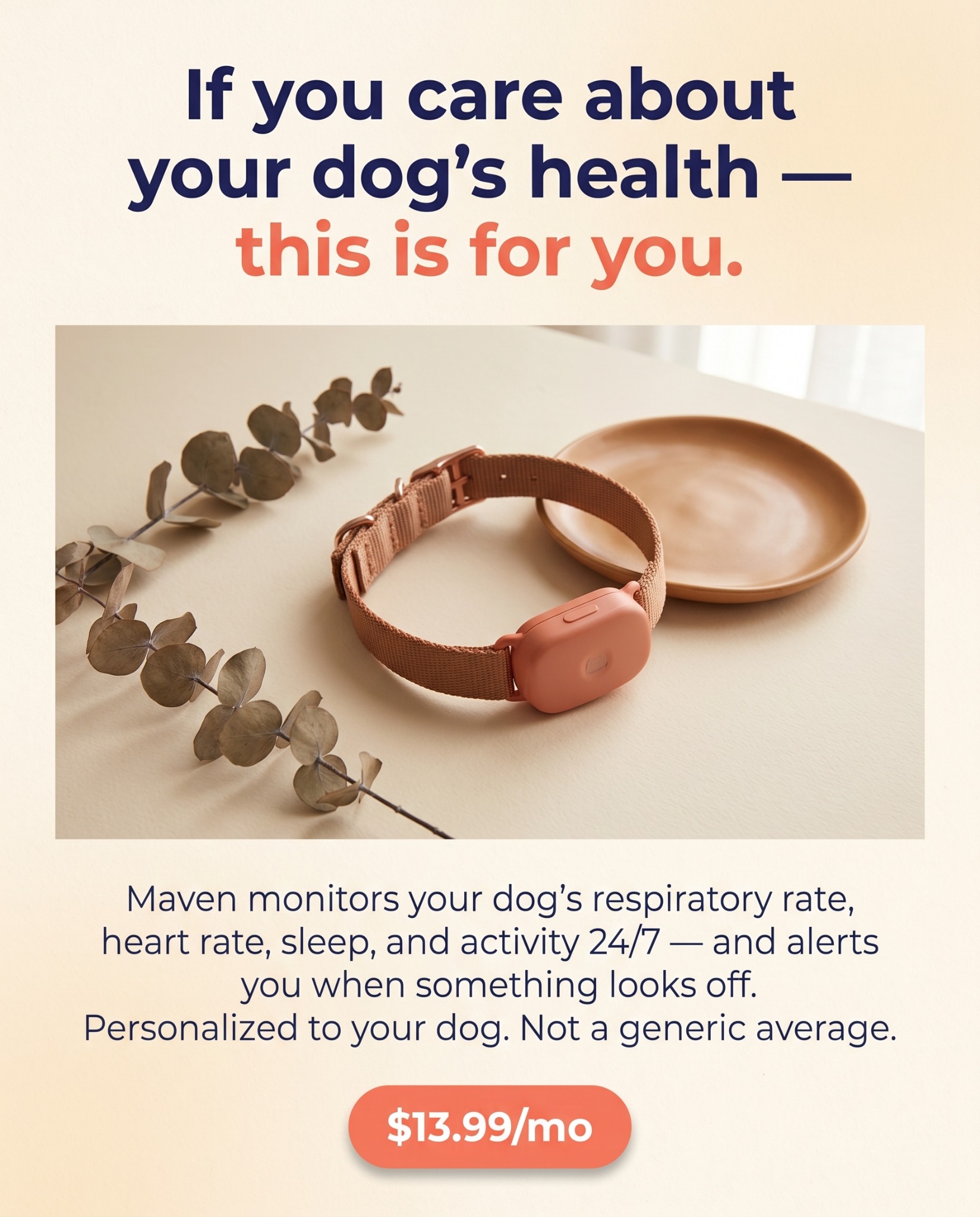 Maven Pet Facebook ad